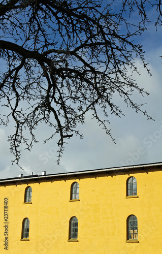 Wind mill in Horsholm, denmark © jeancliclac