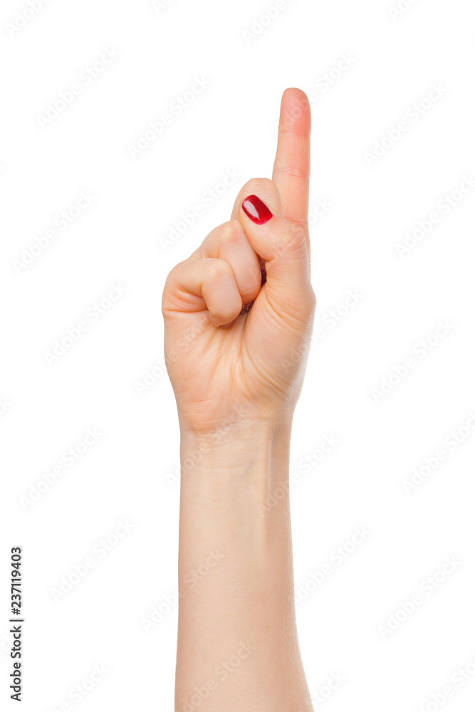 Hand Isolated on White Background : Hand Counts