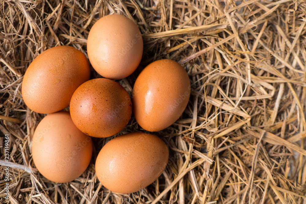 Eggs on a chicken nest made of straw are in the basket.Fresh eggs from the farm every day.