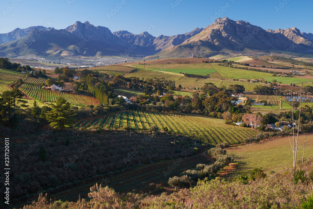 View of winter vineyards and mountains from a hill in the countryside, near Stellenbosch, South Africa