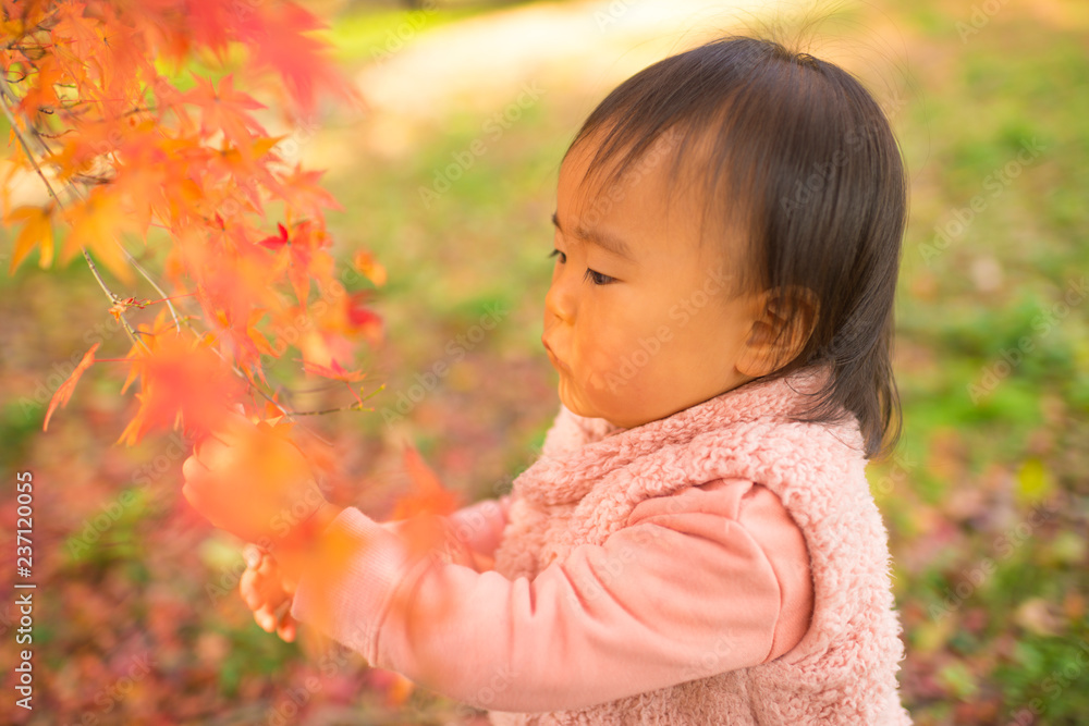 紅葉狩り 紅葉狩り
