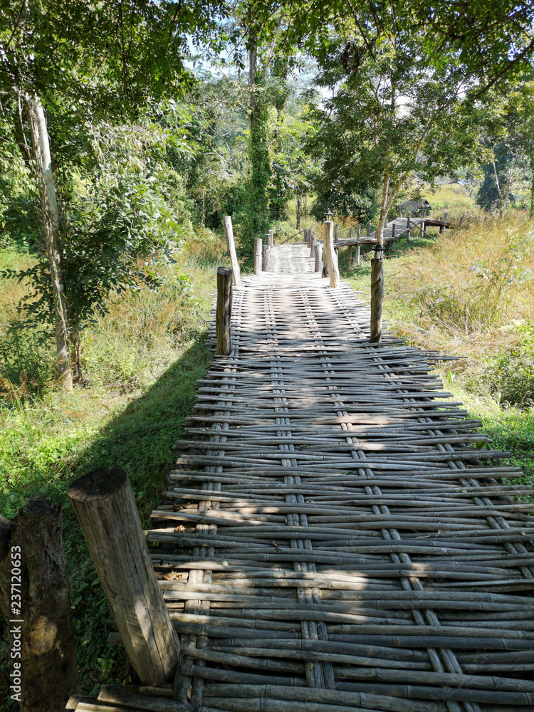 Romantic bamboo bridge crossing fields and nature, Northern Thailand landscape