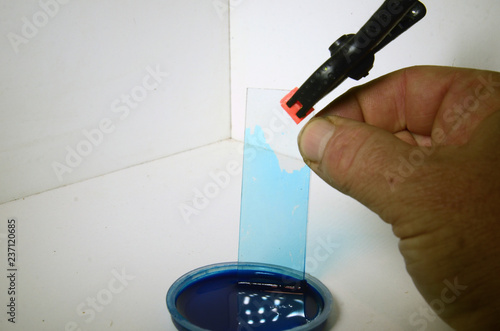 Fotografija Demonstration of capillary effect; blue ink climbs up in the small gap between two microscope slide glasses
