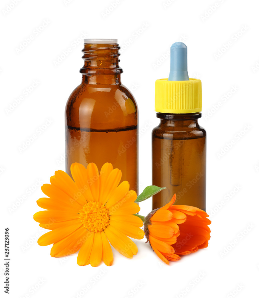 bottle with marigold oil with marigold flowers isolated on white background. calendula flower. bottle with marigold oil with marigold flowers isolated on white background. calendula flower.