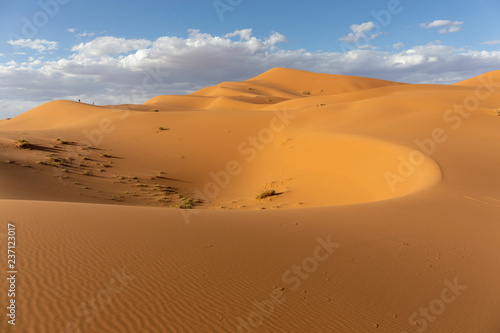 Sahara Desert, Erg Chebi dunes. Merzouga, Morocco