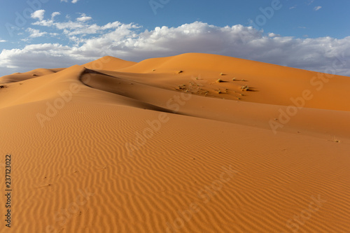 Sahara deserts and Sand Dunes Landscape at Sunrise