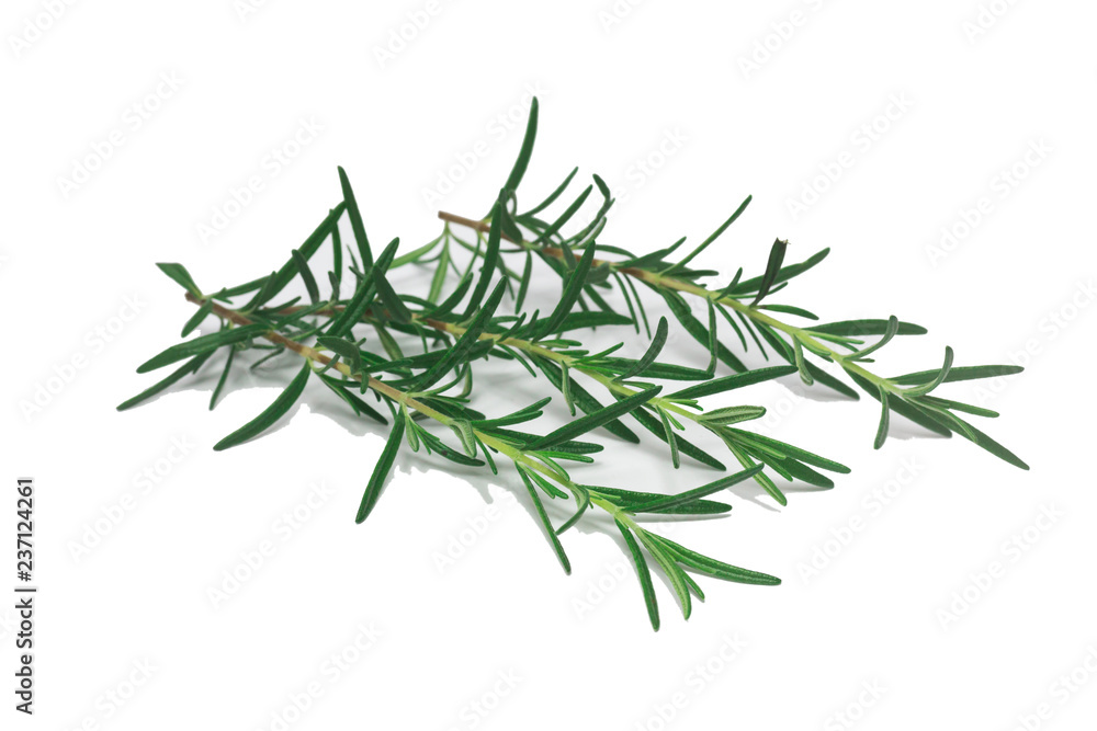 rosemary Leaves  isolated on white background
