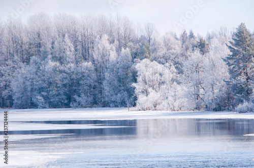 River in winter. Farnebofjarden national park in Sweden. photo