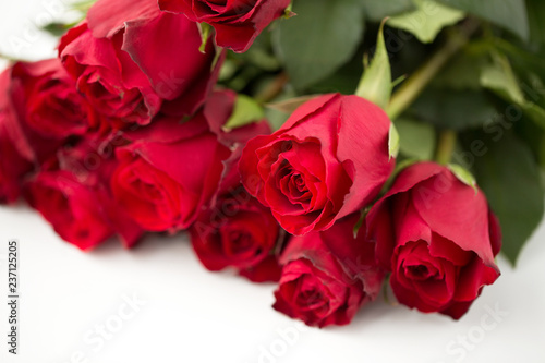 flowers  valentines day and holidays concept - close up of red roses bunch