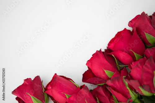 flowers, valentines day and holidays concept - close up of red roses on white background