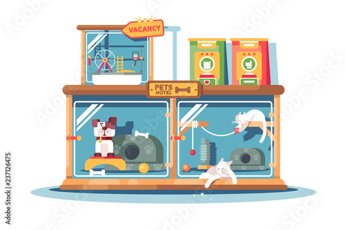 Hotel for pets filled with dogs and cats