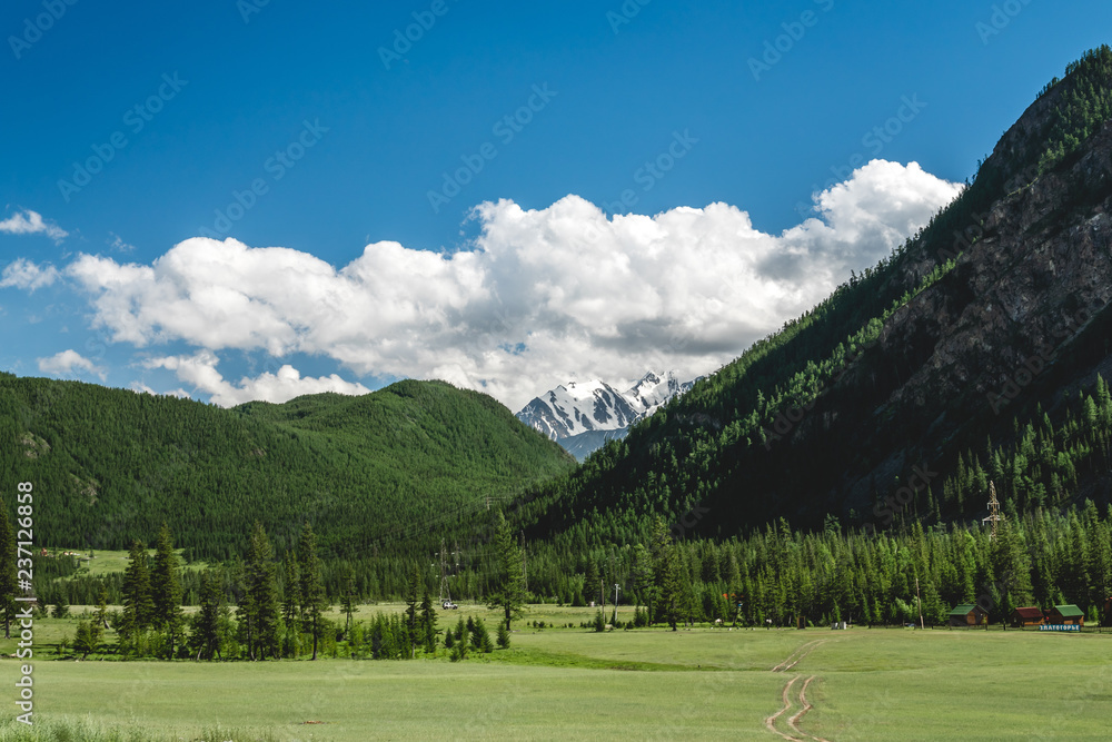 summer mountain landscape with glacier