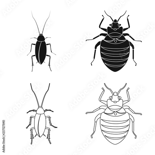 Vector illustration of insect and fly logo. Collection of insect and element vector icon for stock.