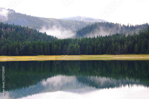 Forest of durmitor national park in montenegro