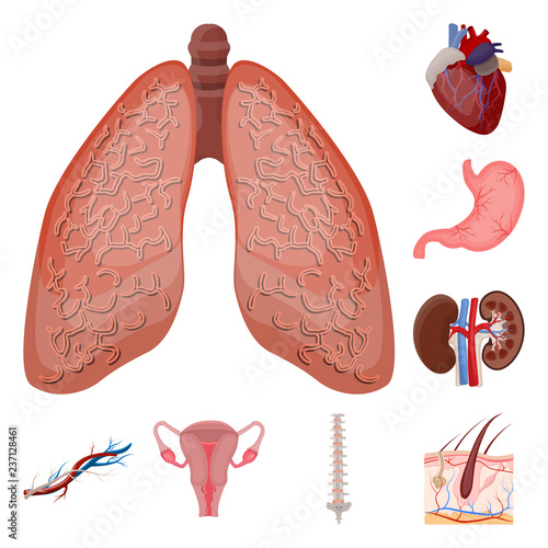 Vector design of body and human logo. Collection of body and medical stock vector illustration.
