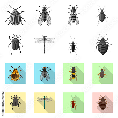 Vector design of insect and fly symbol. Collection of insect and element vector icon for stock. © Svitlana