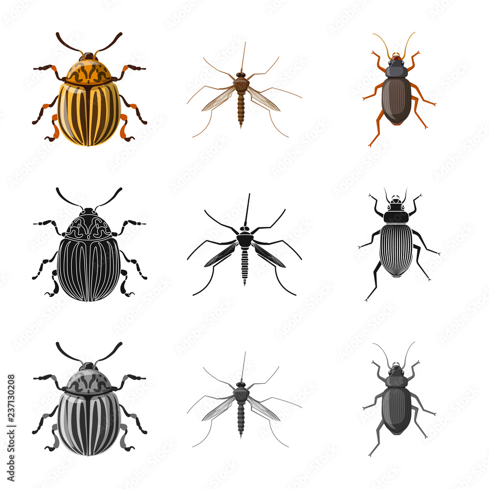Vector design of insect and fly icon. Set of insect and element stock vector illustration. Vector design of insect and fly icon. Set of insect and element stock vector illustration.