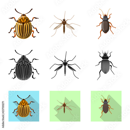 Isolated object of insect and fly symbol. Set of insect and element vector icon for stock.