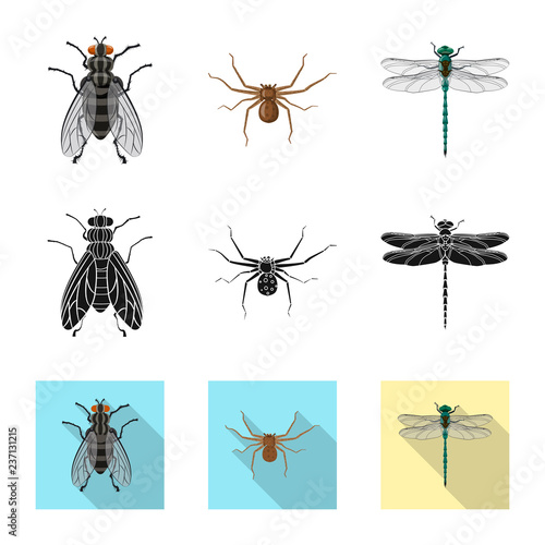 Isolated object of insect and fly sign. Collection of insect and element stock symbol for web. © Svitlana