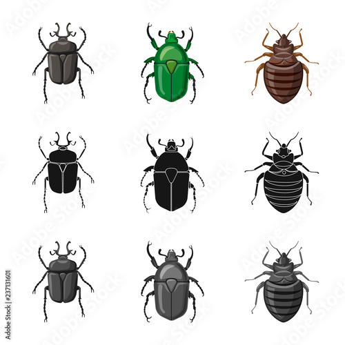 Isolated object of insect and fly symbol. Collection of insect and element stock symbol for web. © Svitlana