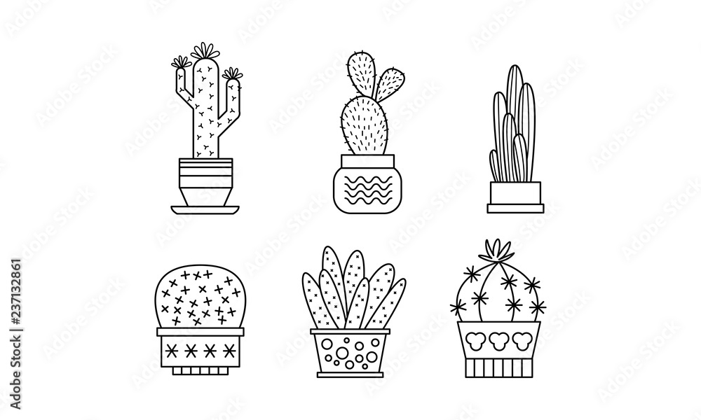 Collection of cactuses and succulents, linear houseplants in pots vector Illustration on a white background Collection of cactuses and succulents, linear houseplants in pots vector Illustration on a white background