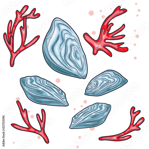 Mussel. Vector illustration with refined details and optimized stroke that allows the image to be used in small sizes (in packaging design, decoration, educational graphics, etc.)