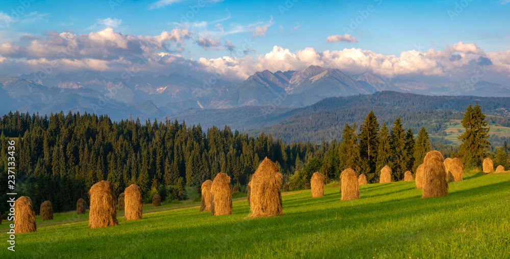Spring panorama of mountains and a mountain meadow at sunrise,Tatra Mountains, Poland