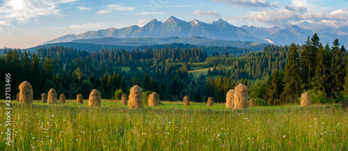 Fototapeta Naklejka Na Ścianę i Meble -  Spring panorama of mountains and a mountain meadow at sunrise,Tatra Mountains, Poland