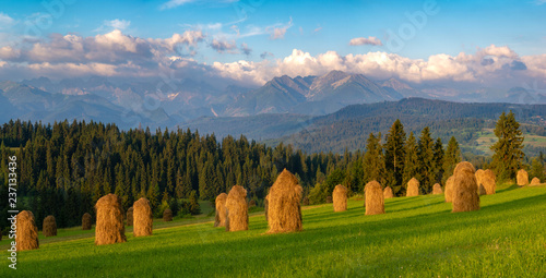 Spring panorama of mountains and a mountain meadow at sunrise Tatra Mountains  Poland