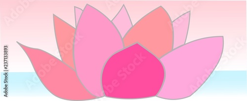 Seerose, Erfüllung, Spiritualität, Ausgeglichen, Liebe, Leben, Blume 