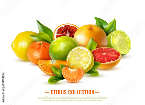 Realistic Citrus Fruit Illustration