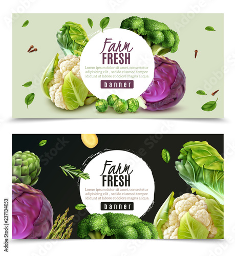 Realistic Vegetables Banners Set
