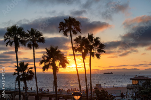 California beach. Palm trees on Manhattan Beach at sunset in California, Los Angeles, USA.  © lucky-photo
