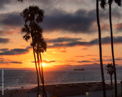 Palm trees on Manhattan Beach at sunset in California  Los Angeles  USA. 