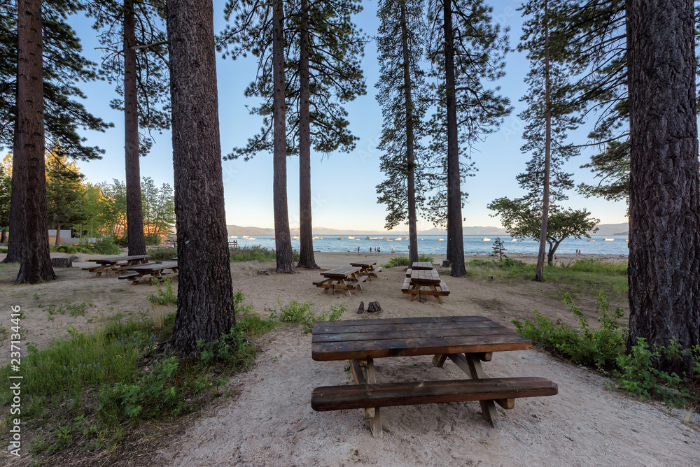 Beautiful view of Lake Tahoe beach with picnic area and pine trees, California