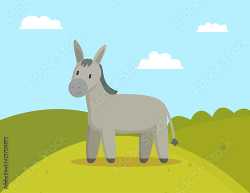 Donkey Farm Animal Graze on Meadow Colorful Banner © robu_s
