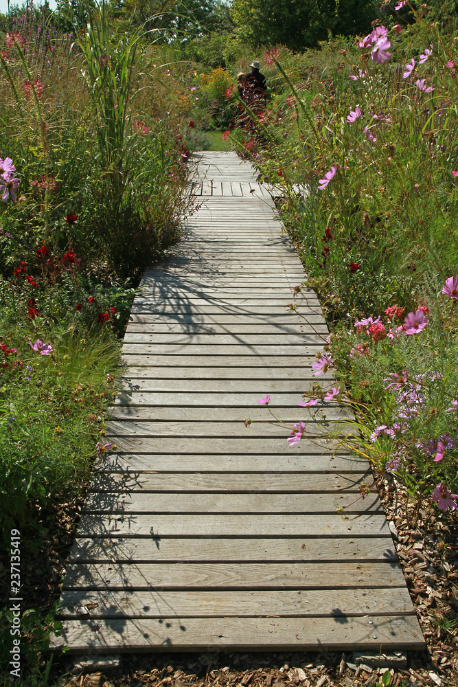 Allée en planches de bois Allée en planches de bois