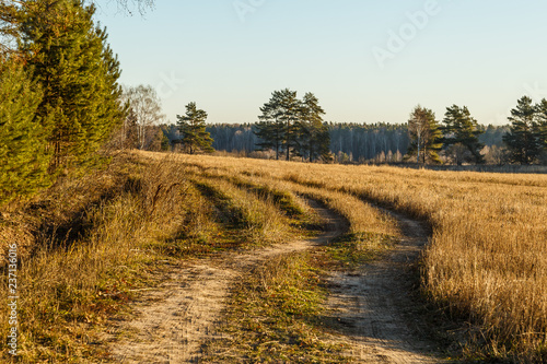 Autumn landscape  dirt road goes through the field
