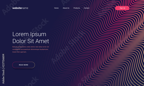 Website landing page