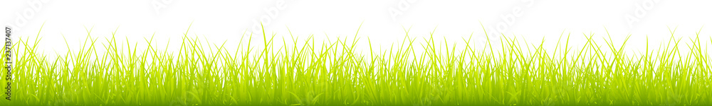 Obraz premium Light Green Meadow Banner