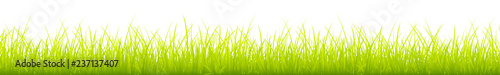 Light Green Meadow Banner