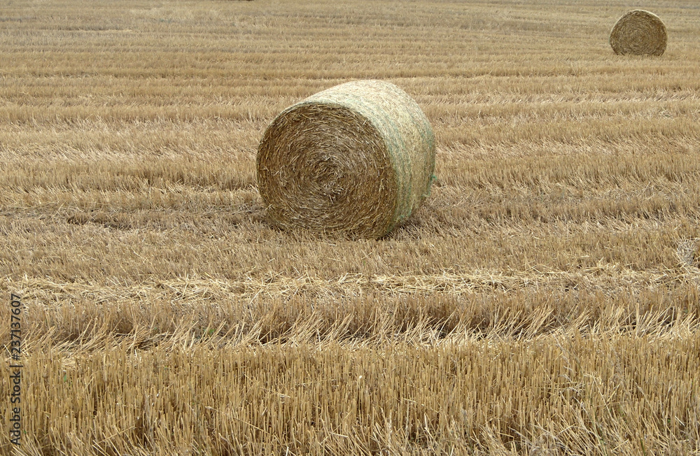 Two Straw Bales in a Field