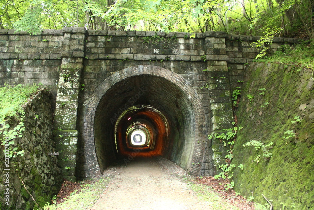 信越本線　廃線　トンネル
