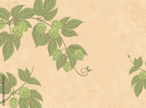 Engraved hops flower wallpaper