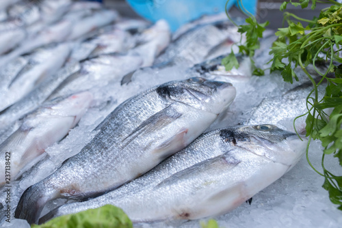 Sea bass and sea breams on ice on supermarket seafood display