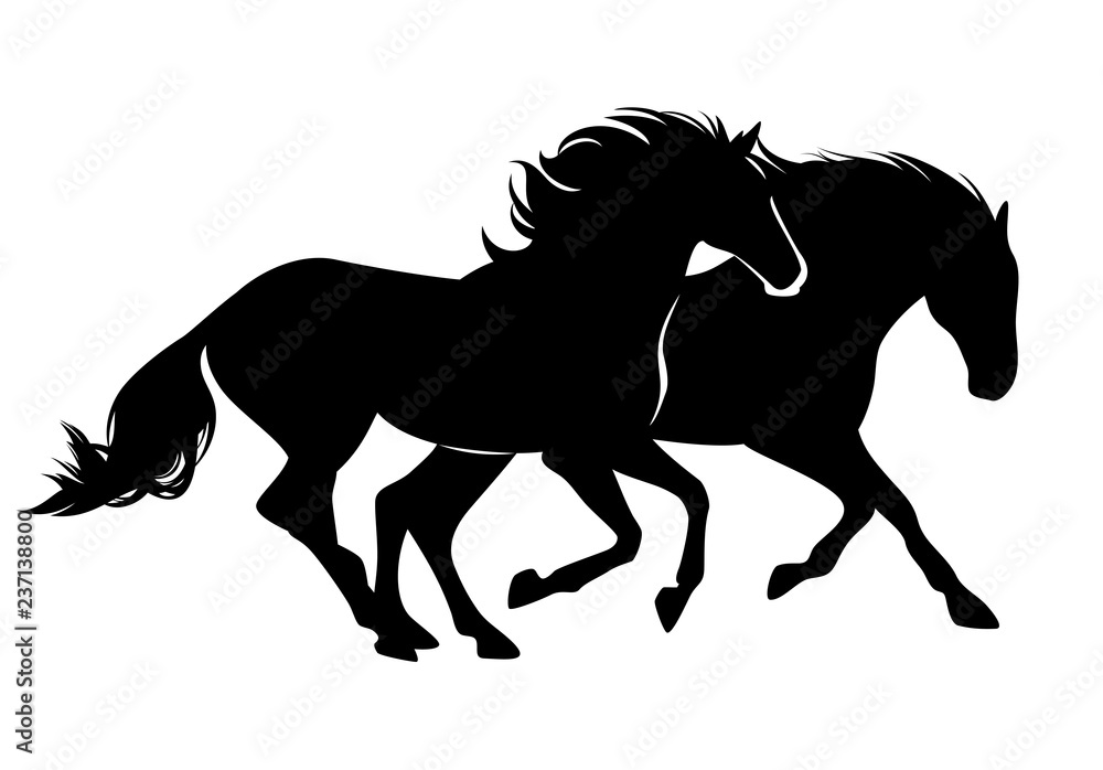 pair of wild mustang horses running free black vector silhouette
