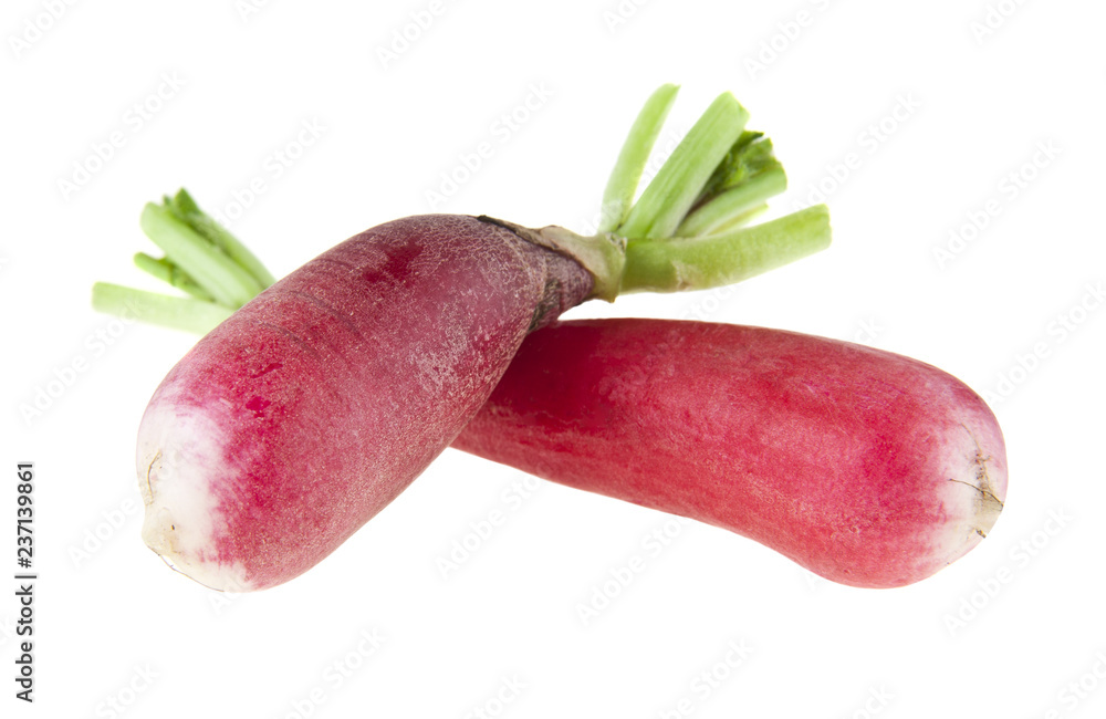 radish isolated on white background radish isolated on white background