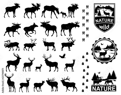 Set of Horned Animals Silhouette Collection Deer Stag Moose Cervidae Elk photo