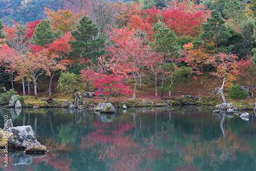 Idyllic landscape of Arashiyama  Kyoto  Japan in autumn season