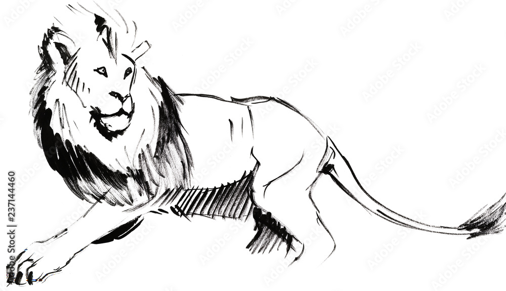 Lion drawing black white